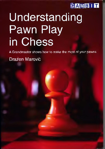 Marovic, Drazen - Understanding Pawn Play in Chess.pdf