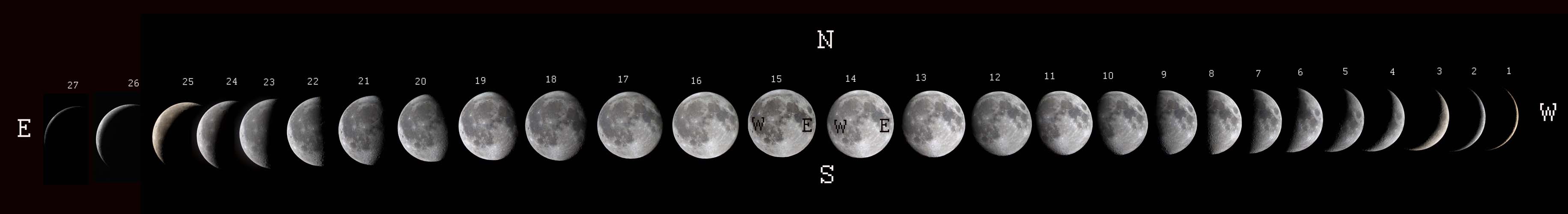 Месяц снизу. Фазы Луны. Разные формы Луны. Фазы Луны фото. Цикл лунных фаз.